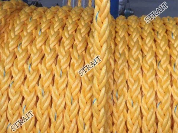 Polypropylene Glycol Allergy