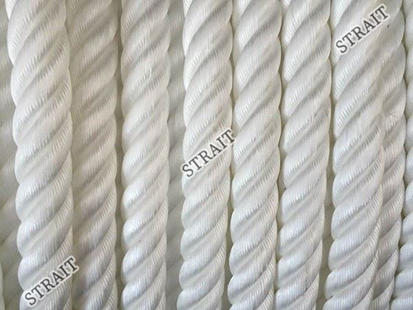 Adhesive Matte Polypropylene Adhesive Matte Polypropylene
